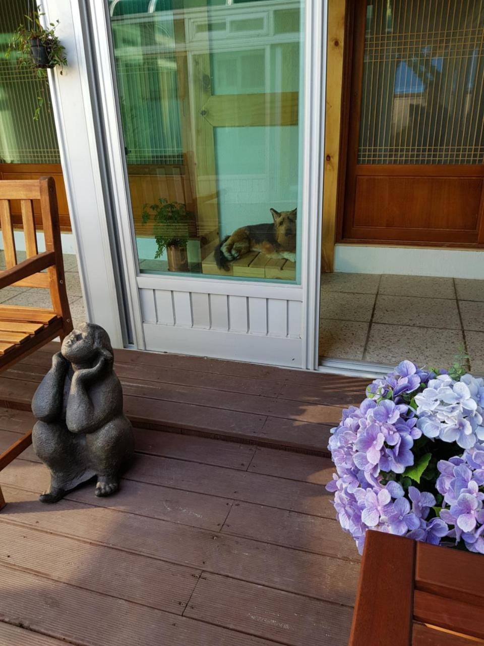 Dal Garam Guesthouse Gangneung Bagian luar foto